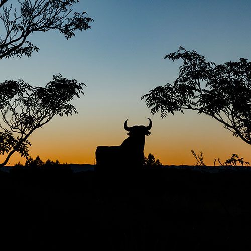 Amanece, que no es poco