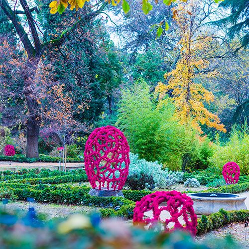 botanico4 botanico4