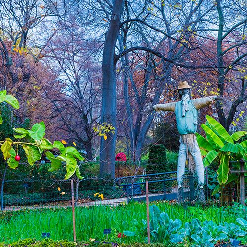 botanico9 botanico9